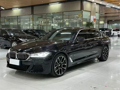 2021 BMW 5 Series 530Li Leading M Sport Package, фото 1, лот 11530580