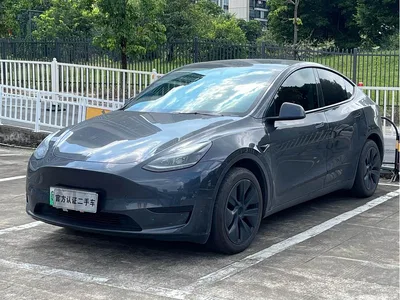 2024 Tesla Model Y Rear-Wheel Drive Version, фото 1, лот 11216217