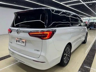 2021 Buick GL8 ES Landlord 653T Luxury, фото 4, лот 10251039