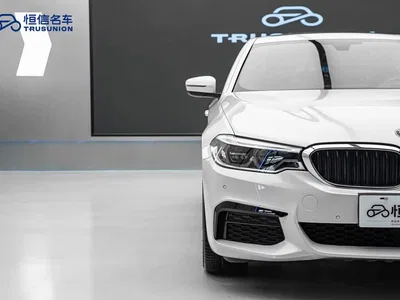2020 BMW 5 Series 530Li Exclusive M Sport Package, фото 4, лот 10611145