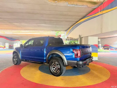 2018 Ford F-150 Raptor 3.5T Raptor Performance Enhanced Edition, фото 4, лот 10298679