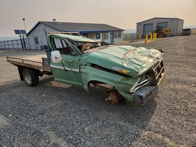 1973 FORD F150, фото 4, лот 10983835