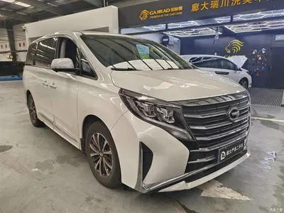 2023 GAC Trumpchi Trumpchi M8 Leading Series 390T Premium Edition, фото 3, лот 11218694