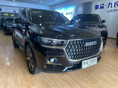 2023 Haval H6 National Trend Edition 1.5T Automatic Champion, фото 3, лот 10306039