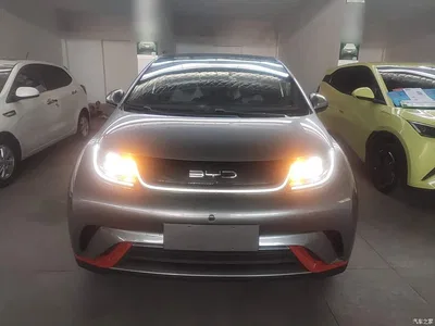 2021 BYD Dolphin Model 405km Fashion Edition, фото 3, лот 11090016