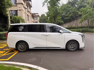 2023 GAC Trumpchi Trumpchi M8 Model Master Series 400T Flagship Edition, фото 4, лот 10415533