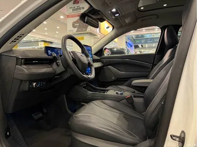 2021 Ford Mustang Mach-E Boundless RWD Luxury (Long Range), фото 3, лот 10299219