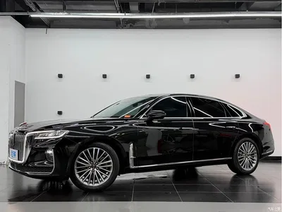 2020 Hongqi H9 2.0T Smart Connection Qi Chang Edition, фото 1, лот 10285523