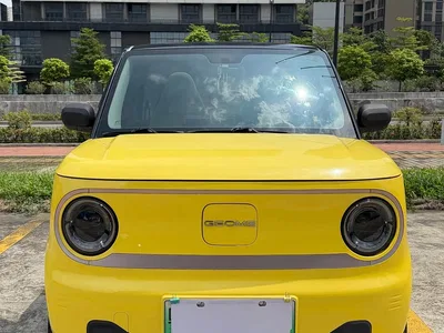 2023 Geely Galaxy Panda Mini 200km Lively Bear, фото 2, лот 10431391
