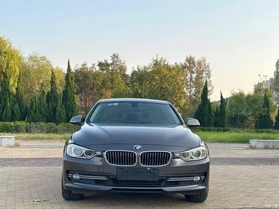 2013 BMW 3 Series Facelift 320Li Style Design Package, фото 2, лот 10517463