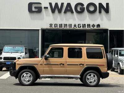 2025 Mercedes-Benz G-Class, фото 2, лот 10295842