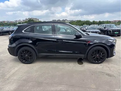 2025 Hongqi HS5 2.0T 4WD Qixiang Pro, фото 4, лот 10889174