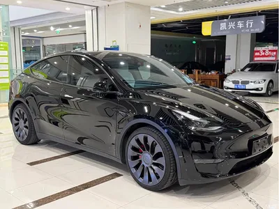 2022 Tesla Model Y Performance High-Performance All-Wheel Drive Version, фото 3, лот 11187874