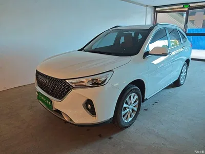 2021 Haval M6 PLUS 1.5T Manual Luxury Smart Connect, фото 1, лот 11539877