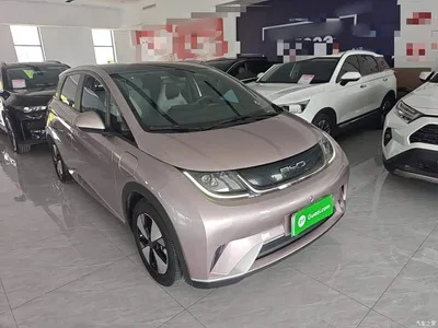 2023 BYD Dolphin 420km Fashion Edition, фото 4, лот 10263977