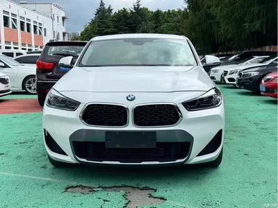 2023 BMW X2 sDrive25i M Off-Road Package, фото 1, лот 10475532