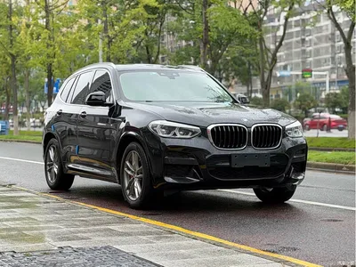 2021 BMW X3 xDrive25i M Sport Package, фото 3, лот 11565685