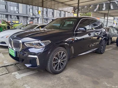2022 BMW X5 Facelift xDrive 30Li Premium M Sport Package, фото 1, лот 10441017