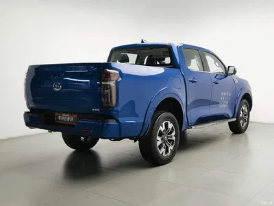 2021 Great Wall Pao 2.0T Passenger Global Edition Automatic Gasoline 2WD Comfort Standard Box GW4C20B, фото 2, лот 10364247