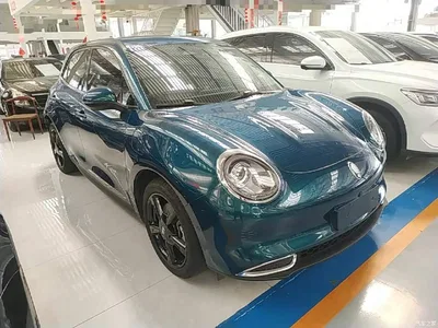 2024 Ora Good Cat 401km Premium 126kW, фото 4, лот 10330539