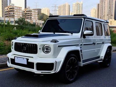 2019 Mercedes-Benz G-Class Facelift G 500, фото 1, лот 10295909