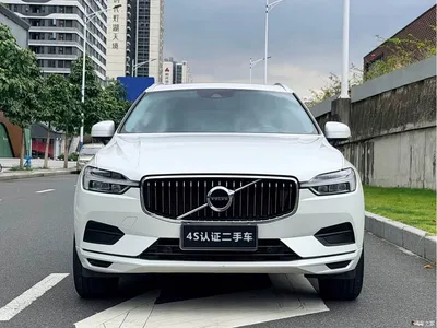 2019 Volvo XC60 T5 4WD Intelligent Ease China VI, фото 3, лот 10352936