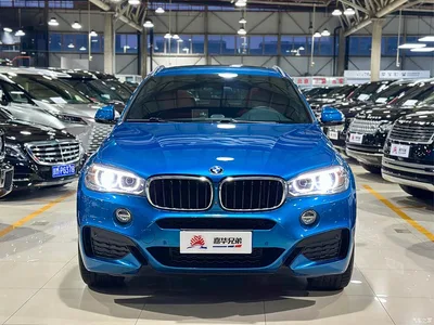 2017 BMW X6 xDrive35i M Luxury Sport, фото 4, лот 10469343