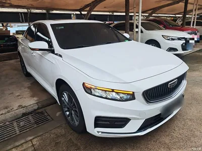 2021 Geely Xing Rui 2.0TD Luxury, фото 4, лот 10357931
