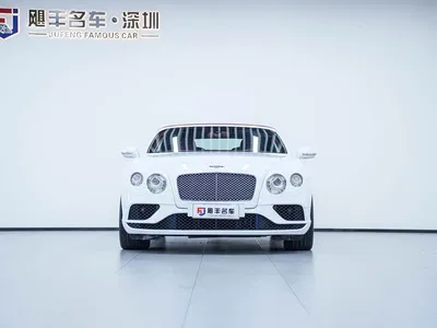 2017 Bentley Continental Gt, фото 3, лот 10244770