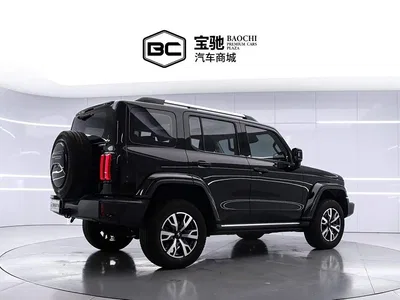2024 Tank 300 2.0T Explorer, фото 3, лот 11227261