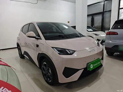 2025 BYD Seagull Smart Drive Edition 305km Freedom Version, фото 4, лот 10955484