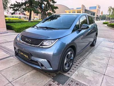 2025 BYD Dolphin 420km Fashion Edition, фото 3, лот 10658386