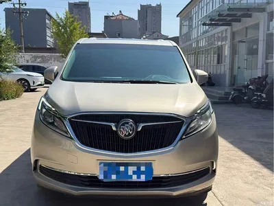 2017 Buick GL8 ES 28T Comfort Type China V, фото 2, лот 10255940