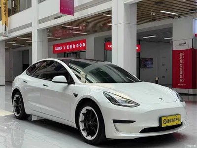 2021 Tesla Model 3 Standard Range Rear-Wheel Drive Upgrade 3D6, фото 3, лот 10346102