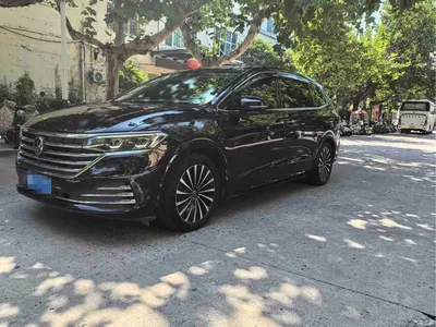 2020 Volkswagen Viloran 380TSI Premium, фото 1, лот 10424676