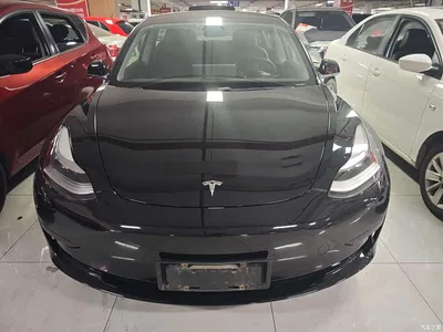 2020 Tesla Model 3 Standard Range Rear-Wheel Drive Upgrade, фото 2, лот 10368937