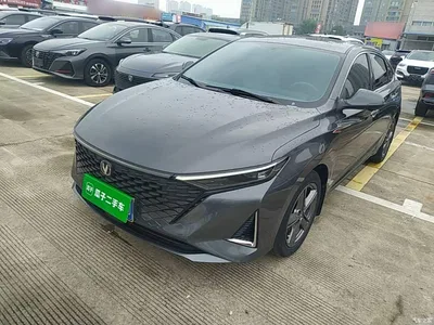 2023 Changan Ruicheng PLUS 1.5T DCT Premium, фото 1, лот 11002633
