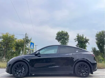2022 Tesla Model Y Rear-Wheel Drive Version, фото 4, лот 10684630