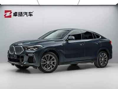2021 BMW X6 xDrive30i M Sport Package, фото 1, лот 10469374
