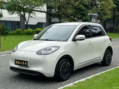 2023 Wuling Motors Wuling Bingo 333km Quick Enjoy Version, фото 1, лот 10354879