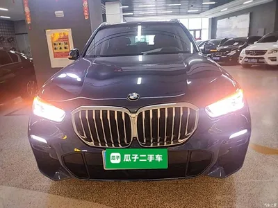 2019 BMW X5 (Import) xDrive40i Exclusive M Sport Package, фото 3, лот 10464390