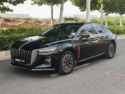 2024 Hongqi H5 2.0T Automatic Smart Connect Flag Smooth Edition, фото 1, лот 11095201