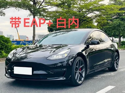 2021 Tesla Model 3 Performance High-Performance All-Wheel Drive 3D6, фото 1, лот 10451962