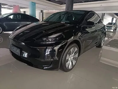 2023 Tesla Model Y Long Range All-Wheel Drive Edition, фото 1, лот 10807967