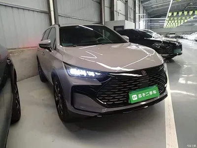 2025 BYD Tang New Energy DM-i 115KM Prestige Type, фото 4, лот 11519029