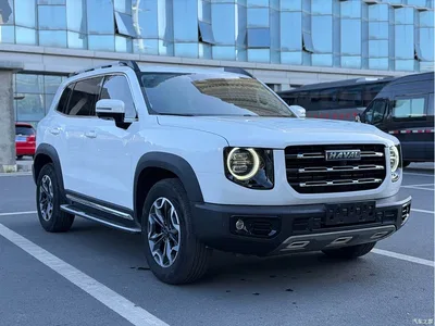 2021 Haval Big Dog 2.0T DCT 4WD Chinese Rural Dog Edition, фото 3, лот 10394806
