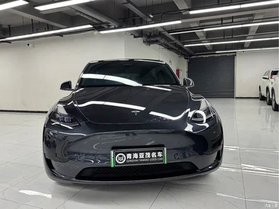 2024 Tesla Model Y Rear-Wheel Drive Version, фото 2, лот 10403355