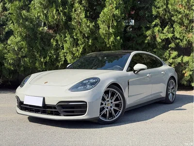 2022 Porsche Panamera 2.9T, фото 1, лот 10394021