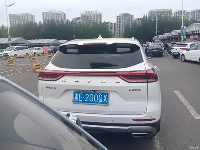 2021 Haval H6 National Trend Edition 1.5T Automatic Urban Edition, фото 4, лот 10282194
