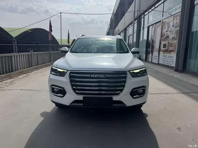 2020 Haval H6 2.0GDIT Automatic Platinum Champion Edition, фото 2, лот 11438090